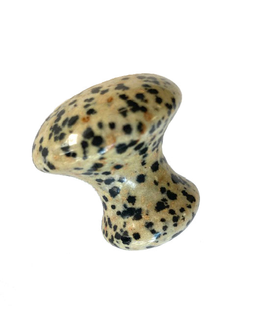 Dalmatian Mushroom